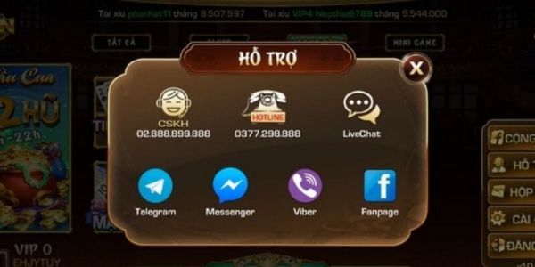 Khi nào cần thông tin liên lạc HITCLUB